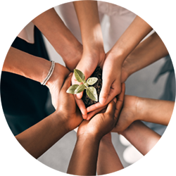 Independent Therapist Hub